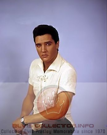 WM 1960 promo black watch pants white shirt left elbow on knee.JPG